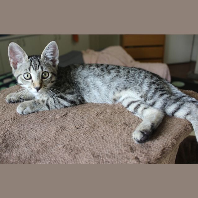 Photo of Max
