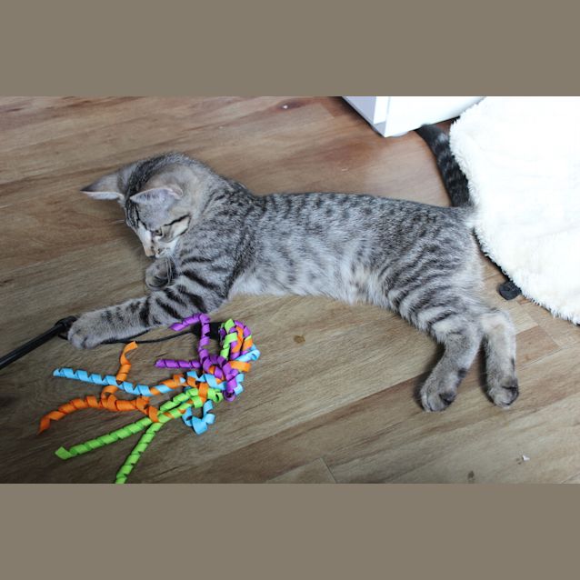 Photo of Max