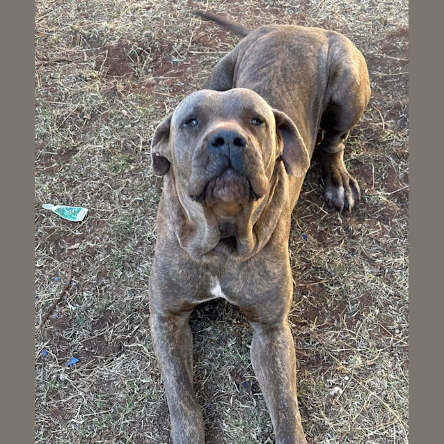 Photo of Major