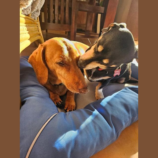 Photo of Boston And Yogi