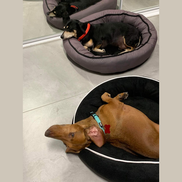 Photo of Boston And Yogi