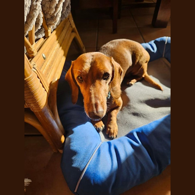 Photo of Boston And Yogi