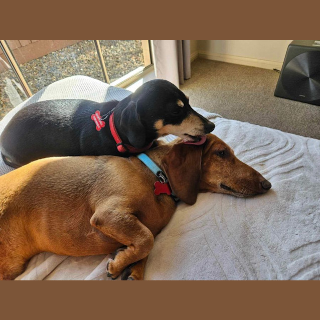 Photo of Boston And Yogi