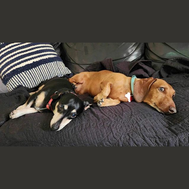 Photo of Boston And Yogi