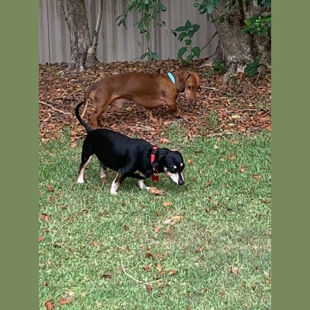 Photo of Boston And Yogi