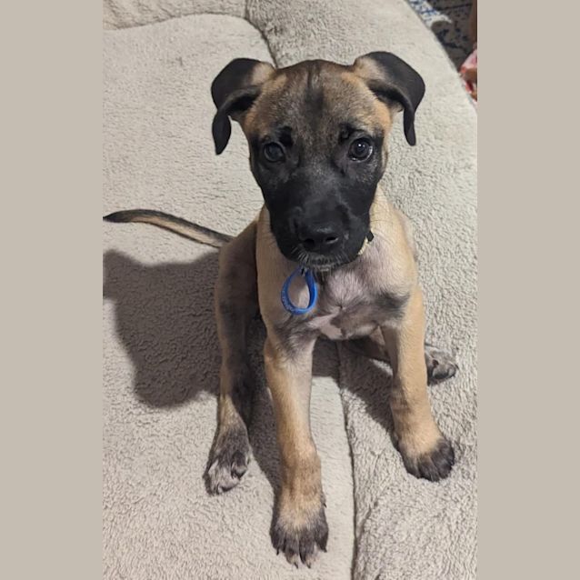 Photo of Kiki
