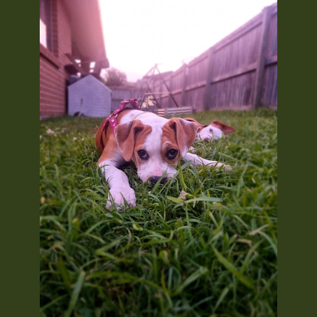 Photo of Susie