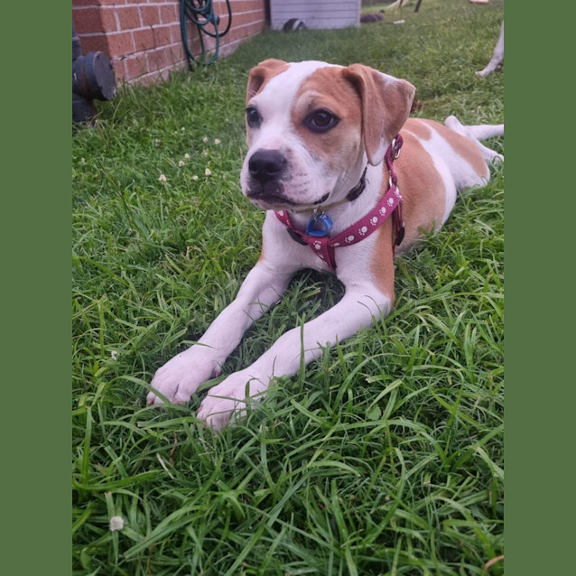 Photo of Susie