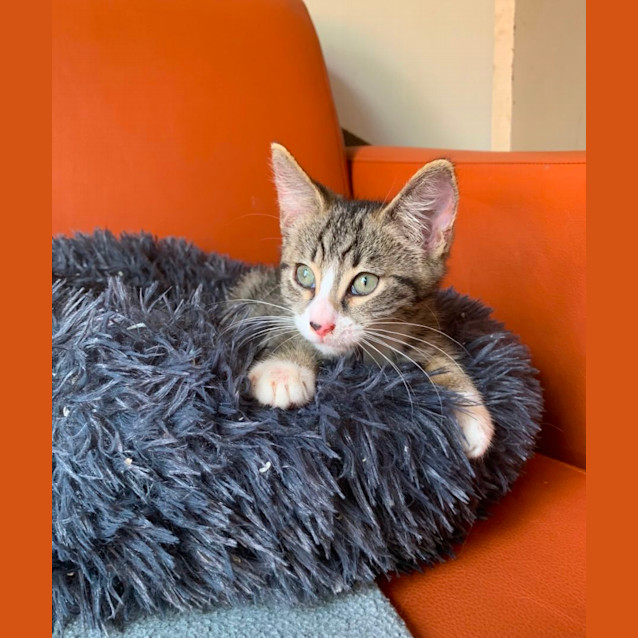 Photo of Ted🧸💙🧸