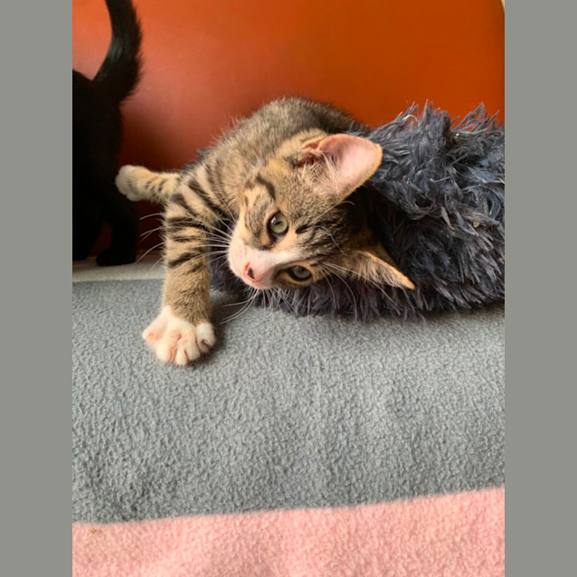 Photo of Ted🧸💙🧸