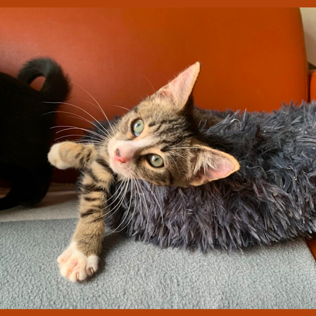 Photo of Ted🧸💙🧸