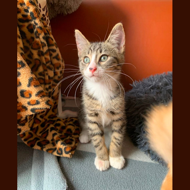 Photo of Ted🧸💙🧸