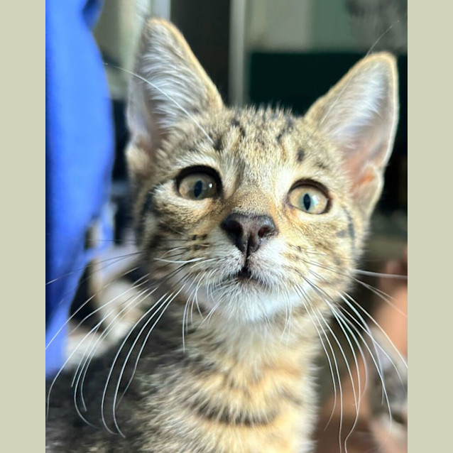 Photo of Princess Theadorable