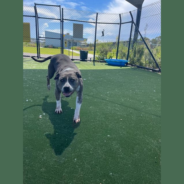 Photo of Zaylee Imp 2276