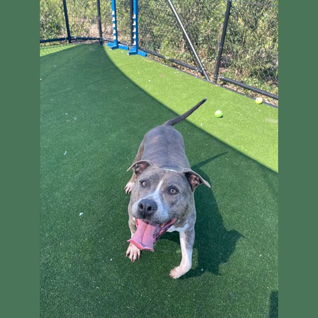 Photo of Zaylee Imp 2276