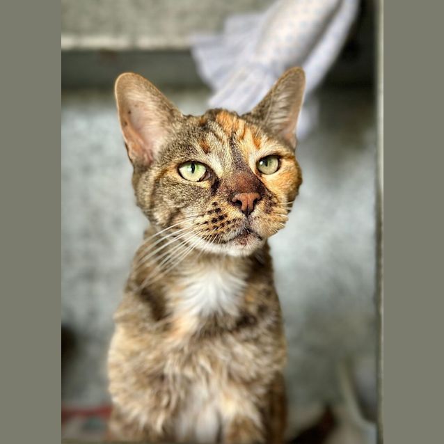 Photo of Martha