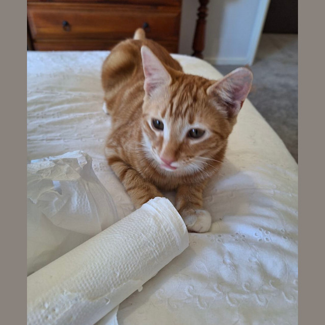 Photo of Harley & Lemmy