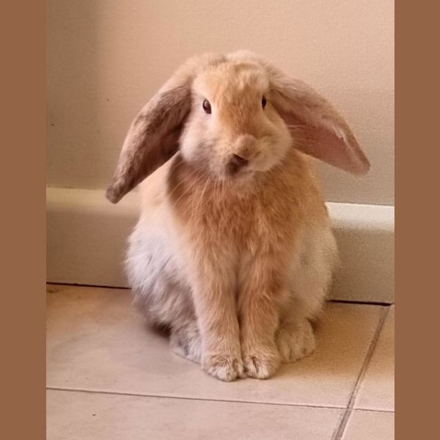 Photo of Hazel