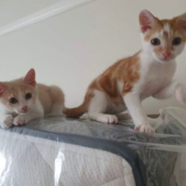 Photo of Ivar & Aurora 