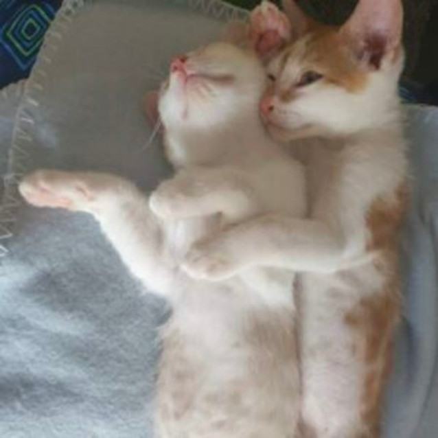 Photo of Ivar & Aurora 