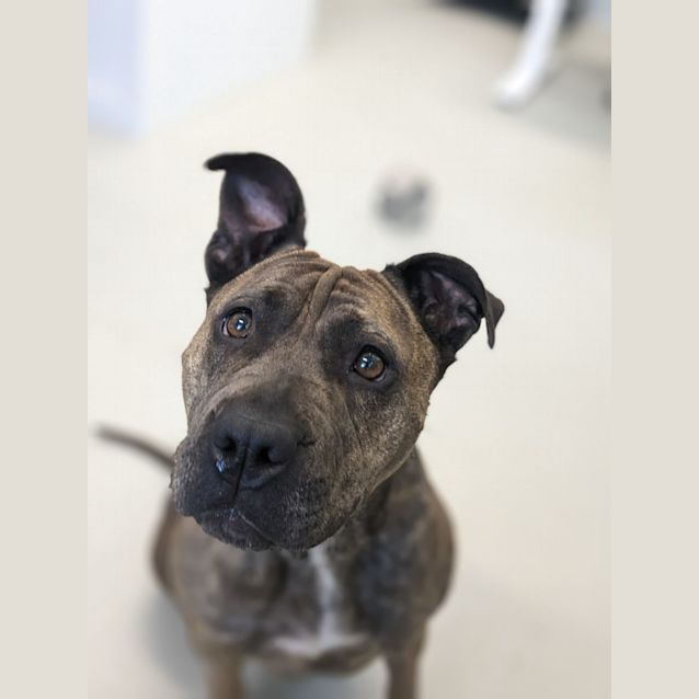 Photo of 🌩Storm C04766 🌩