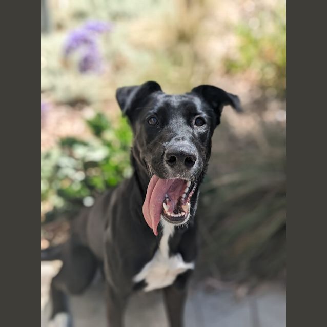 Photo of 🎵 La La C04819 🎵