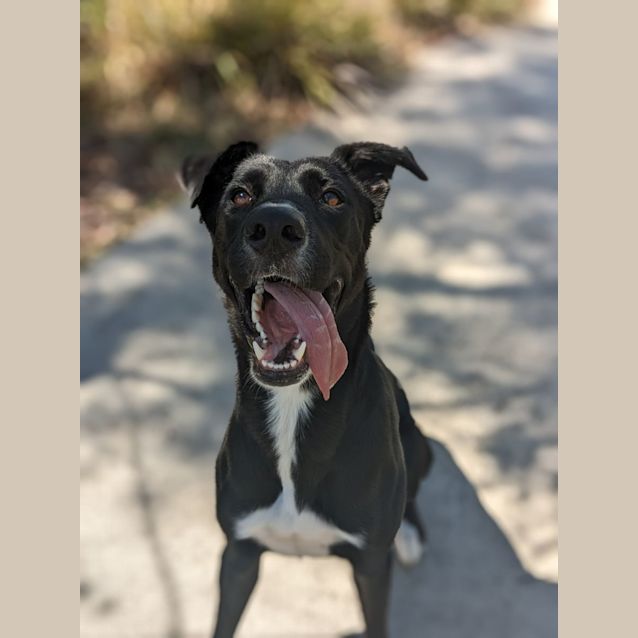 Photo of 🎵 La La C04819 🎵