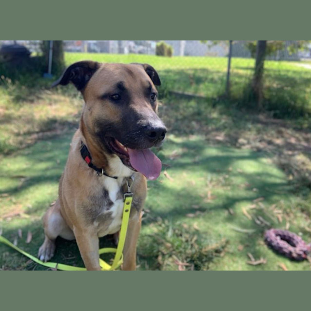 Photo of 🤠 Dusty 5095 🤠