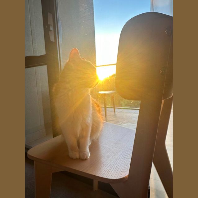 Photo of 💕Bella💕