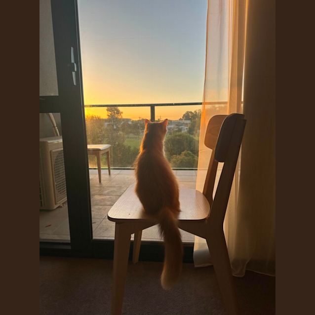 Photo of 💕Bella💕