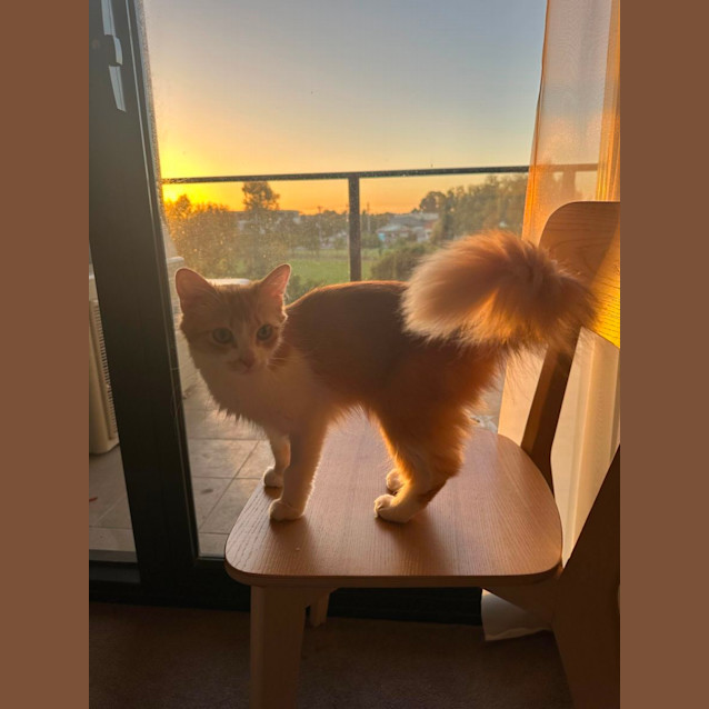 Photo of 💕Bella💕