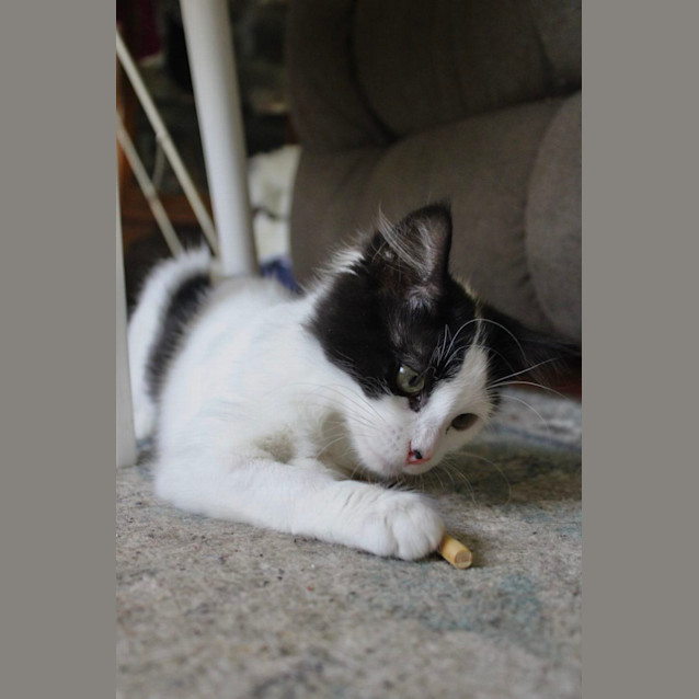 Photo of 💋 Monti 💋