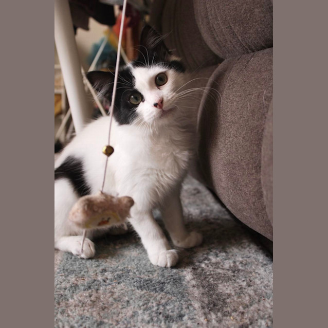 Photo of 💋 Monti 💋