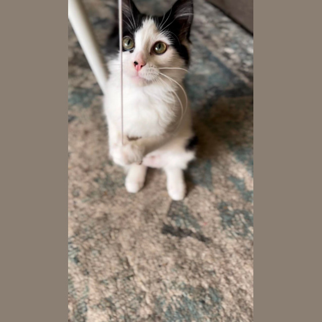 Photo of 💋 Monti 💋