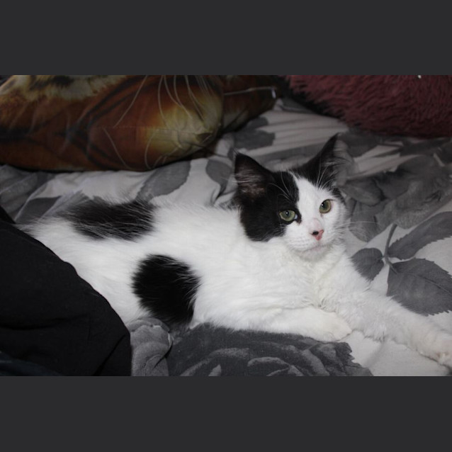 Photo of 💋 Monti 💋