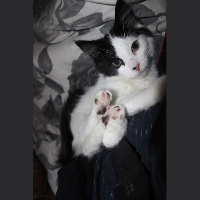 Photo of 💋 Monti 💋