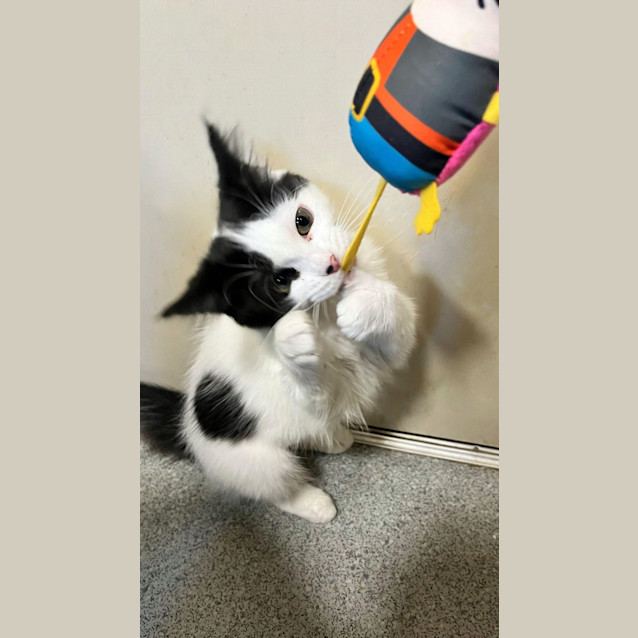 Photo of 💋 Monti 💋