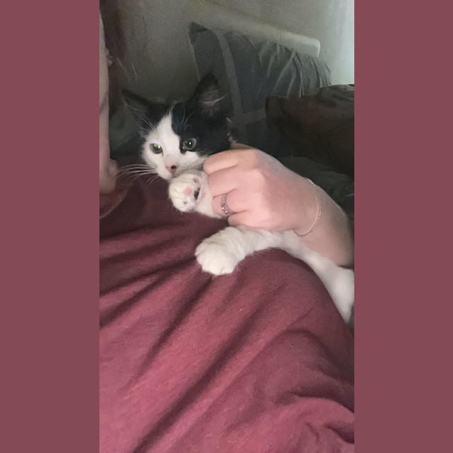 Photo of 💋 Monti 💋