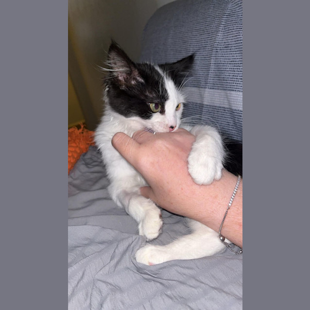 Photo of 💋 Monti 💋