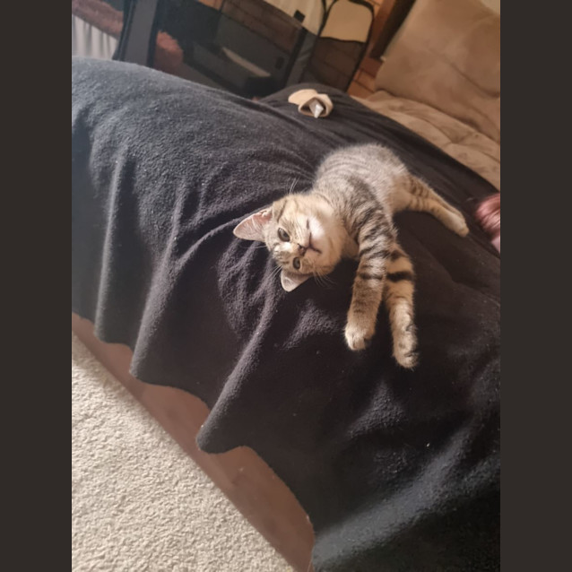 Photo of Benji 