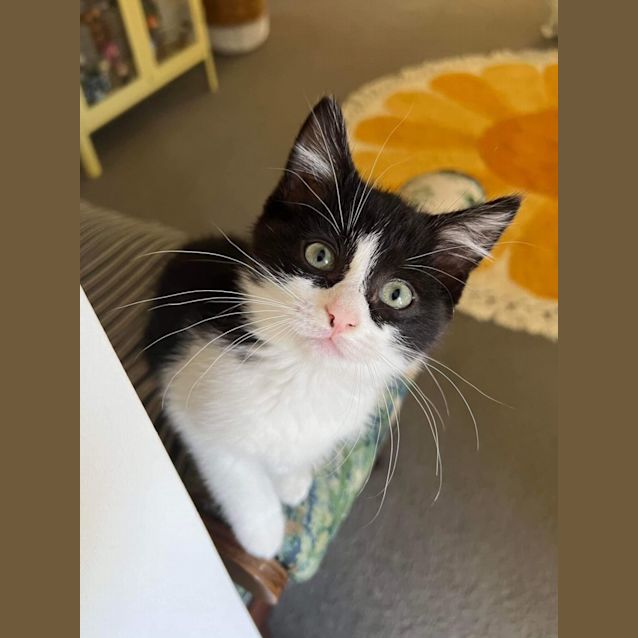 Photo of Jujubee 🐝🐝🐝