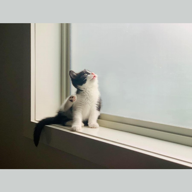 Photo of Jujubee 🐝🐝🐝