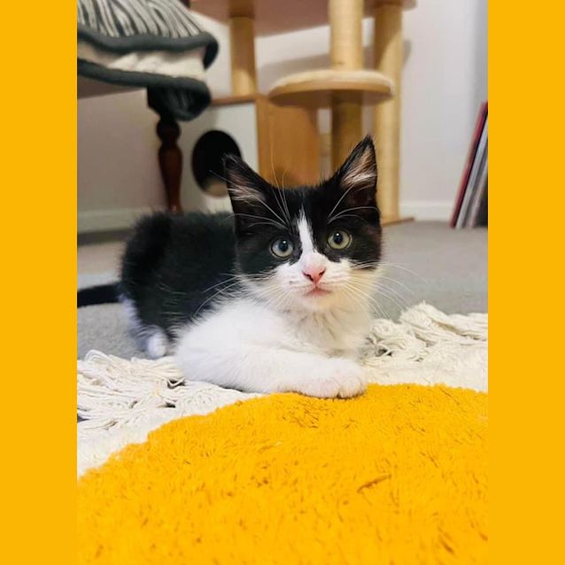 Photo of Jujubee 🐝🐝🐝