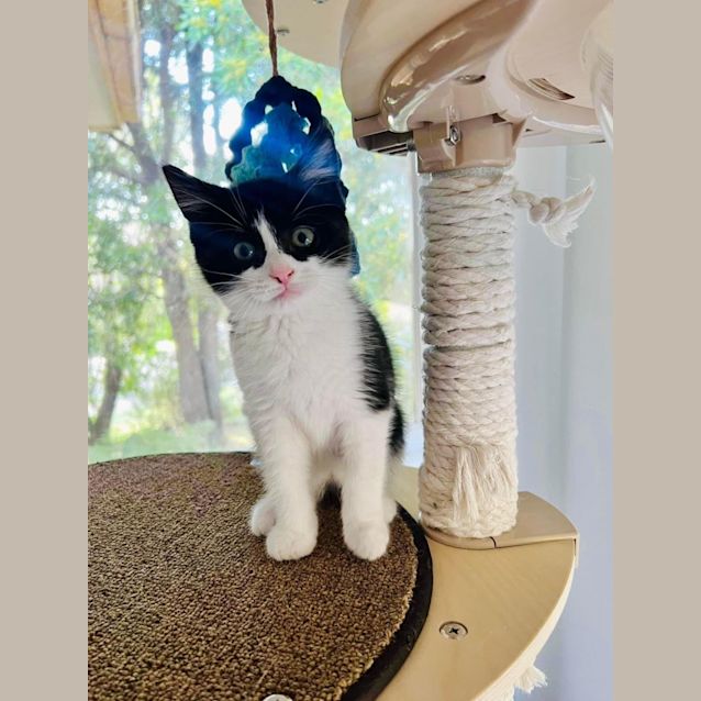 Photo of Jujubee 🐝🐝🐝