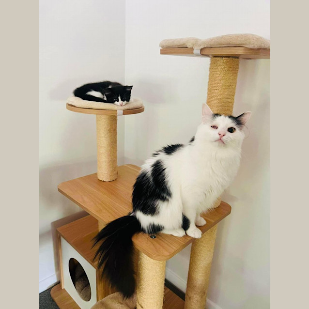 Photo of Jujubee 🐝🐝🐝