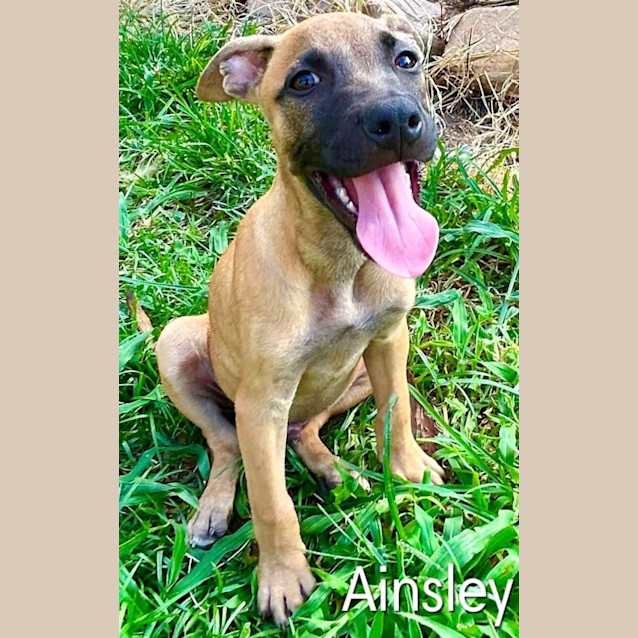 Photo of Ainsley