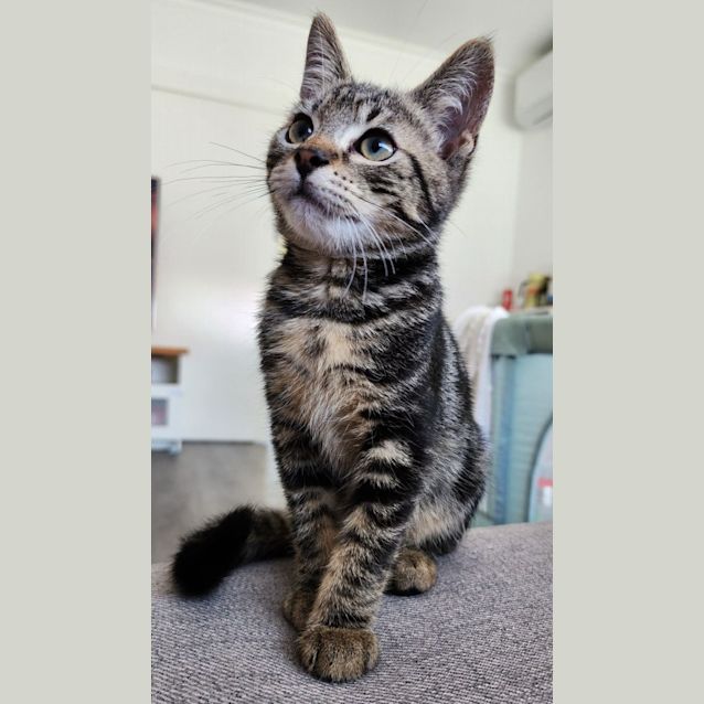 Photo of Bond   Located In Preston