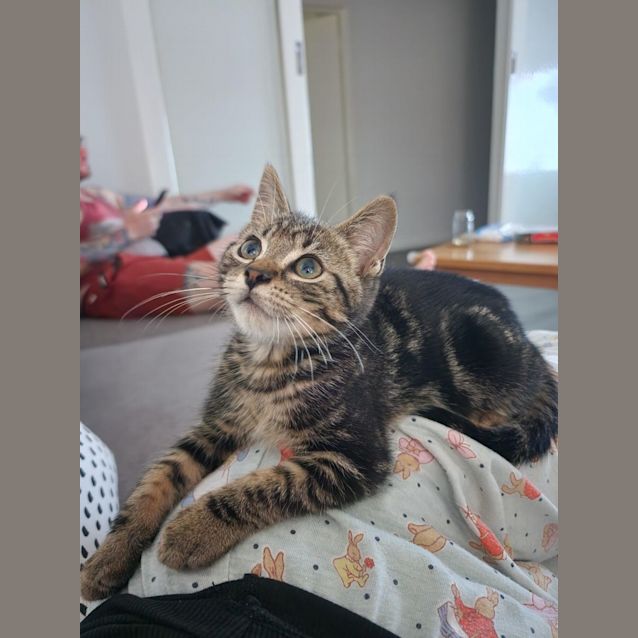 Photo of Bond   Located In Preston