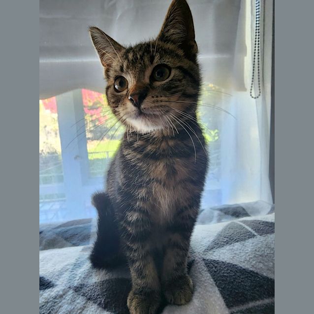 Photo of Bond   Located In Preston