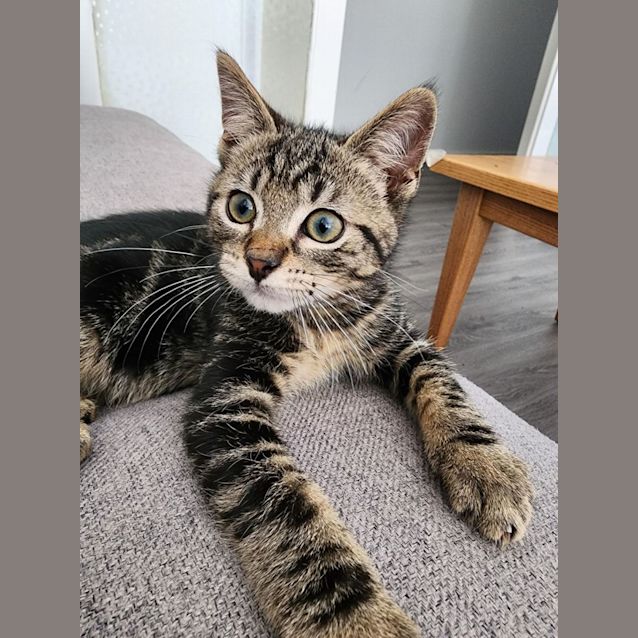 Photo of Bond   Located In Preston